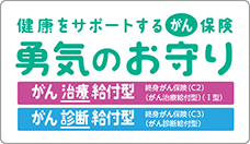 がん診断保険R